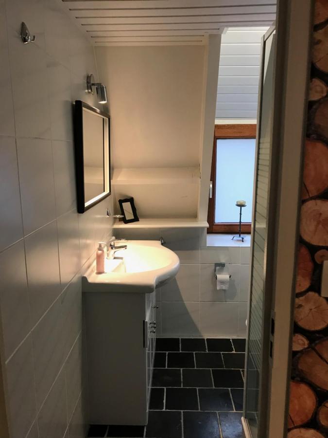 Heavenly Renovated Cabin Near Pittoresque Durbuy - Whistler Villa Екстериор снимка