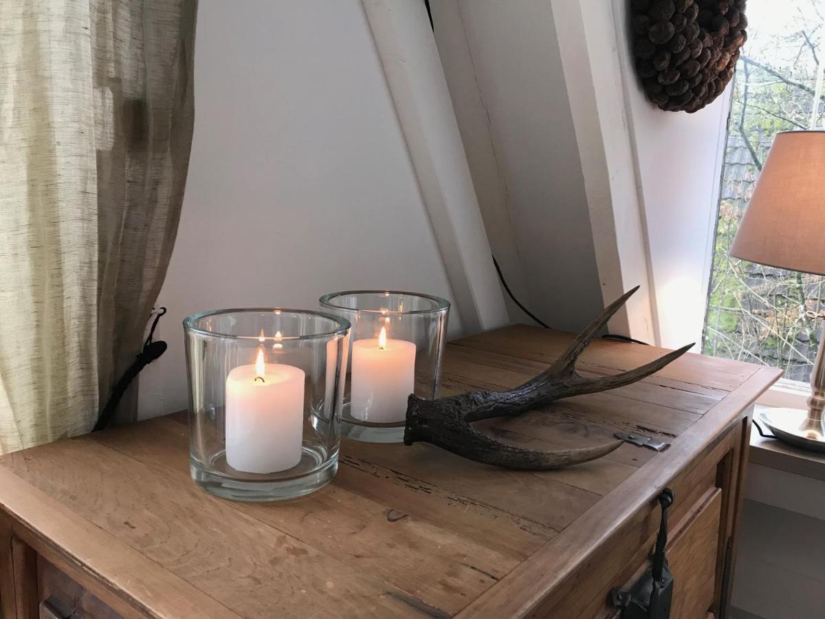 Heavenly Renovated Cabin Near Pittoresque Durbuy - Whistler Villa Екстериор снимка